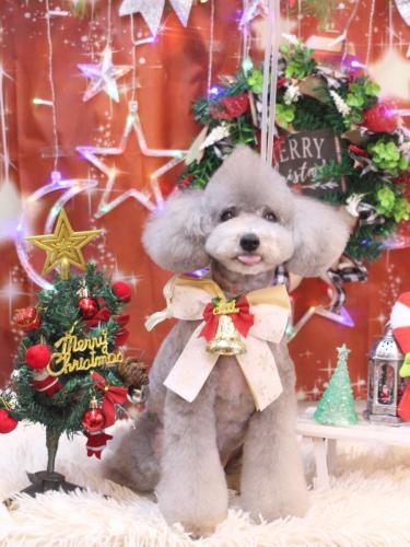 20231229宇宙くん